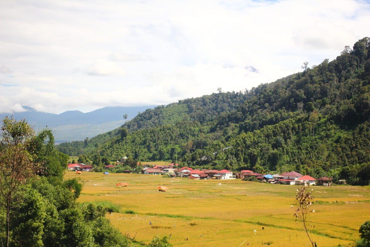 5 Desa Wisata Jambi yang Tawarkan Pengalaman Hidup Bak Warga Lokal