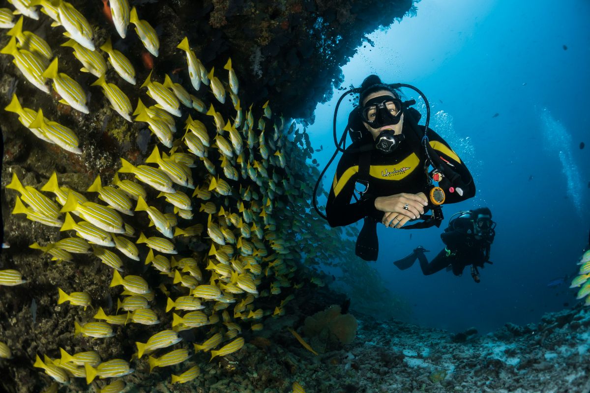 Rahasia Ini Jadi Alasan Kenapa Pulau Bunaken Ramai Wisatawan