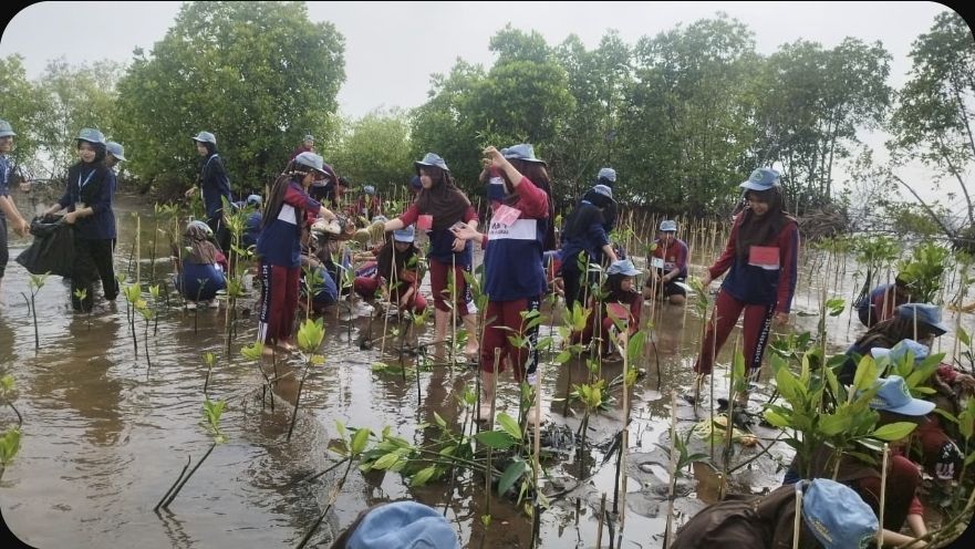Sejumlah Siswa-Siswi MAN Pekalongan Tanam 1.000 Mangrove untuk Cegah Abrasi
