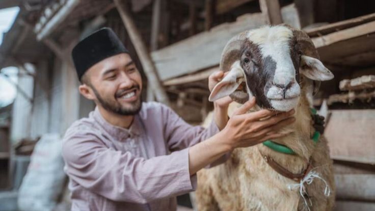 Doa Menyembelih Hewan Kurban: Tata Cara Lengkap, Arab, Latin, dan Artinya