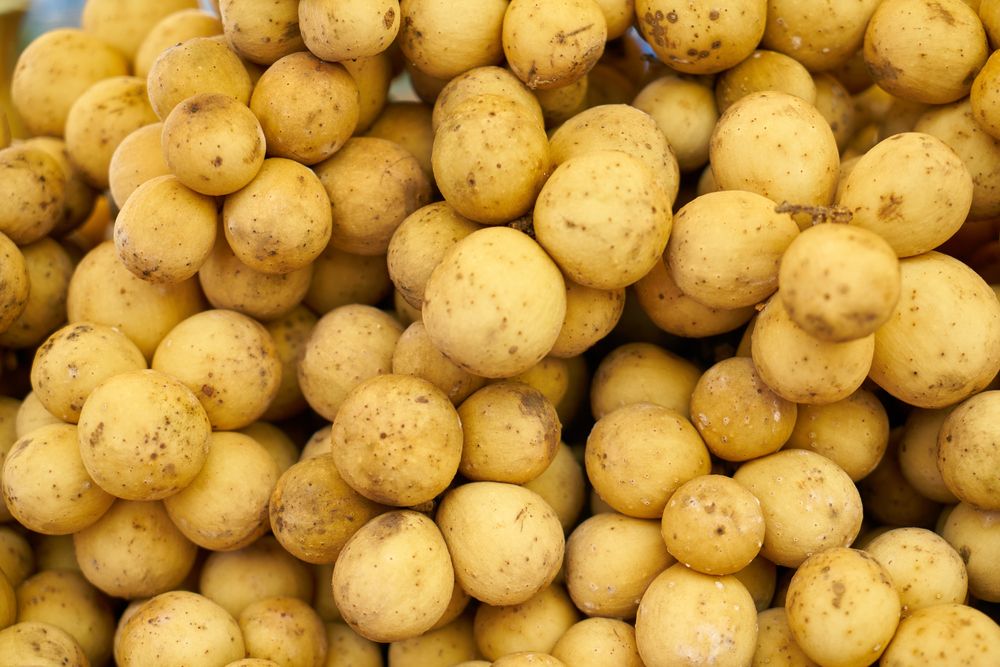 Liburan ke Sultra? Jangan Lupa Borong Deretan Buah Khas Ini