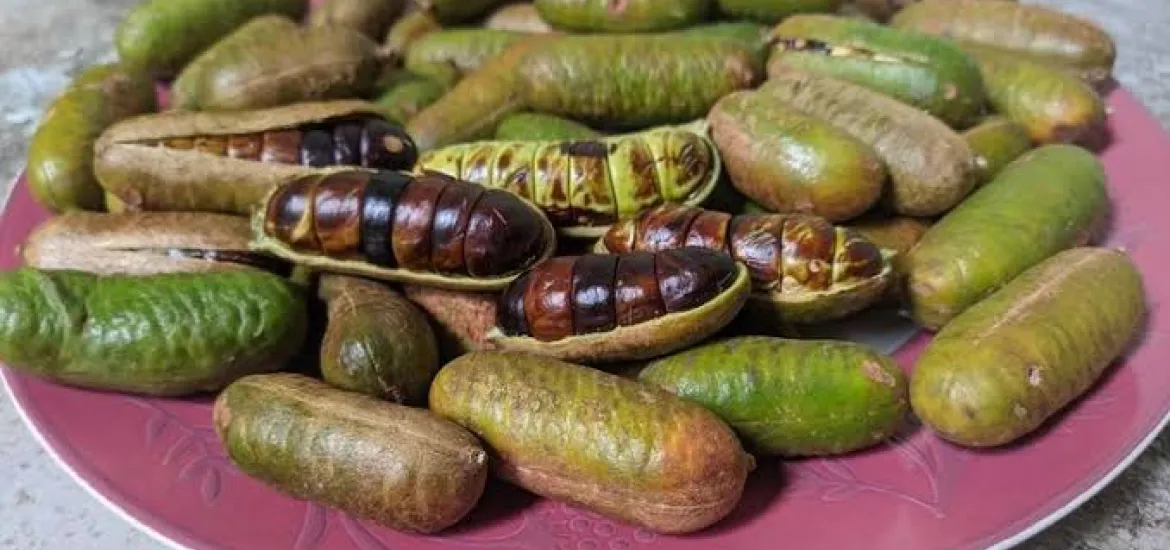 Ragam Buah Khas Jambi yang Eksotis dan Wajib Masuk Daftar Icip!