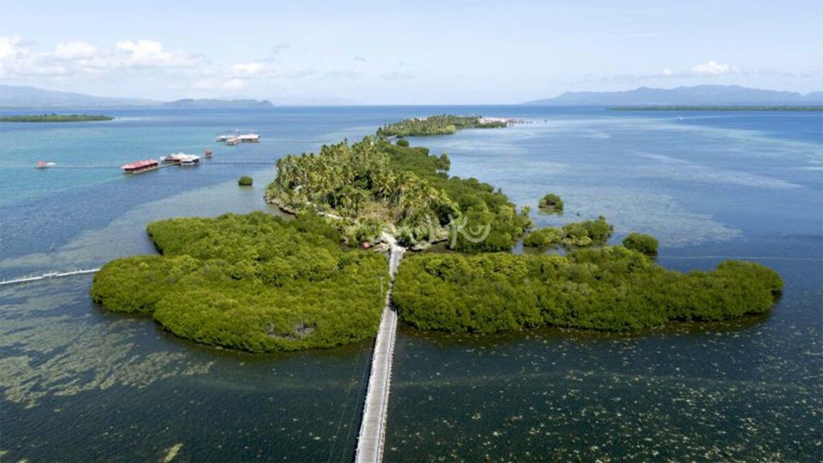 Pulau Osi Maluku Tawarkan Laut Jernih dan Keindahan Alam Alami Tenang