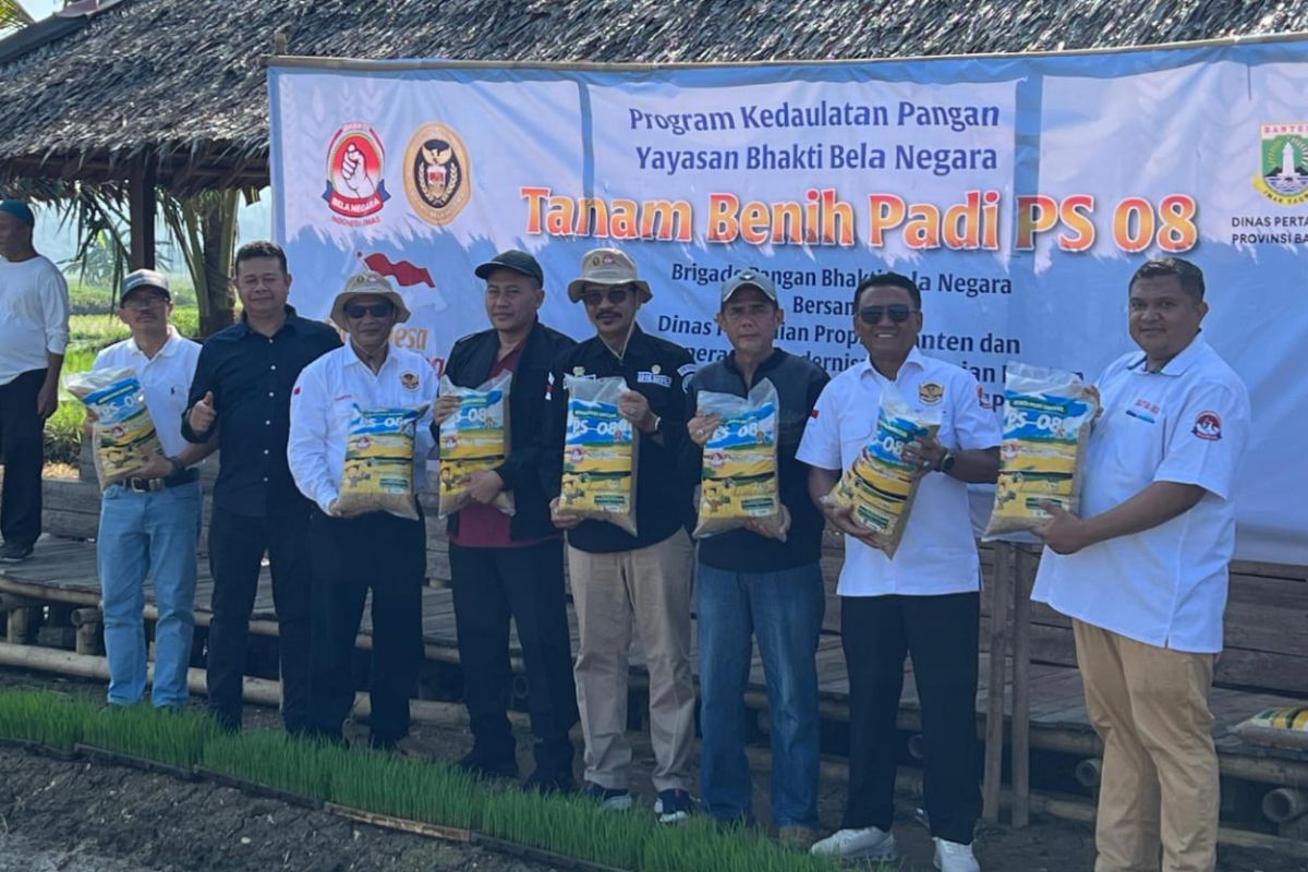 Banten Tanam Padi Unggul 1.500 Hektare, Incar Ketahanan Pangan dan Cegah Stunting