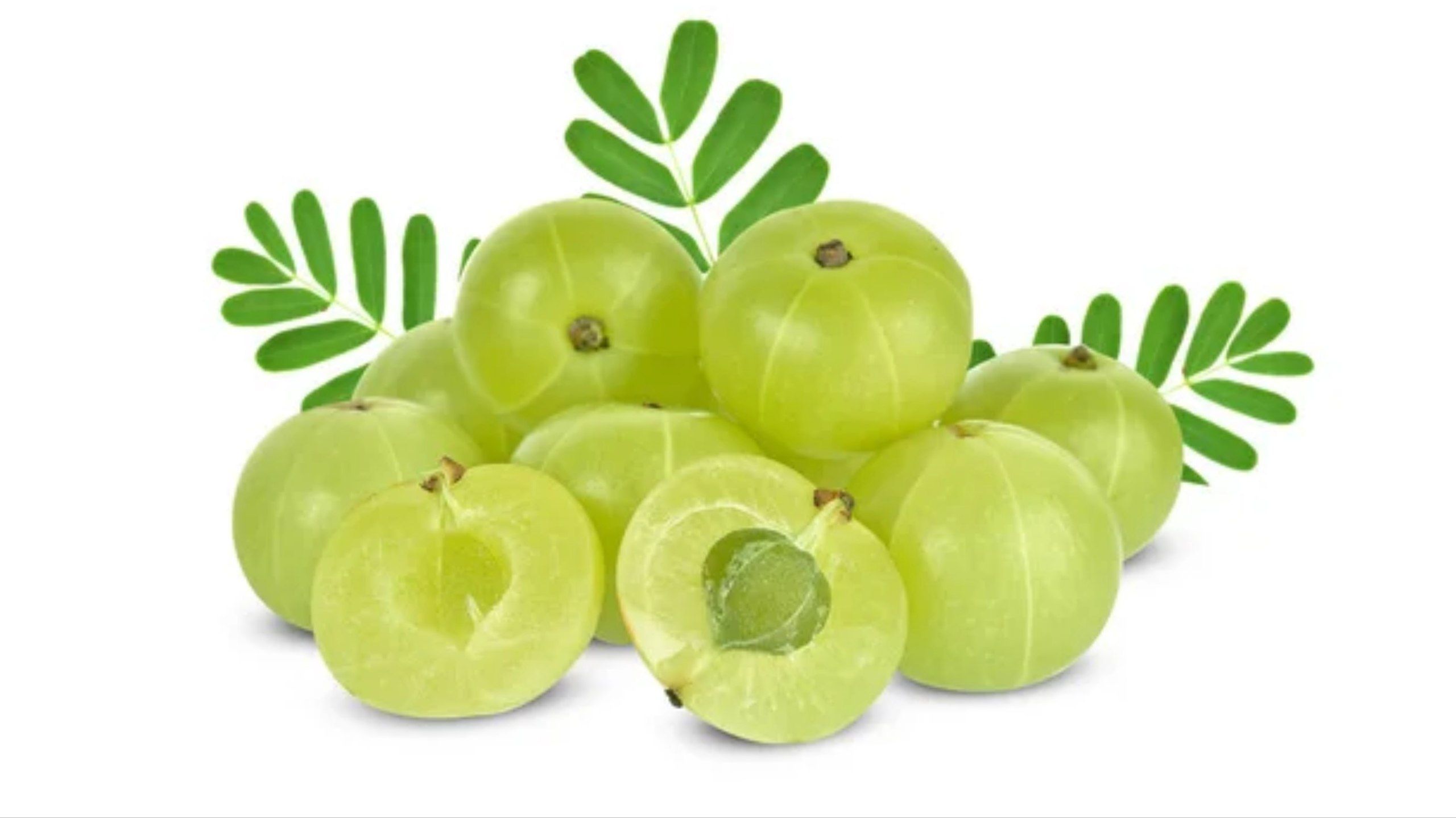 7 Manfaat Buah Malaka untuk Tubuh yang Perlu Kamu Ketahui
