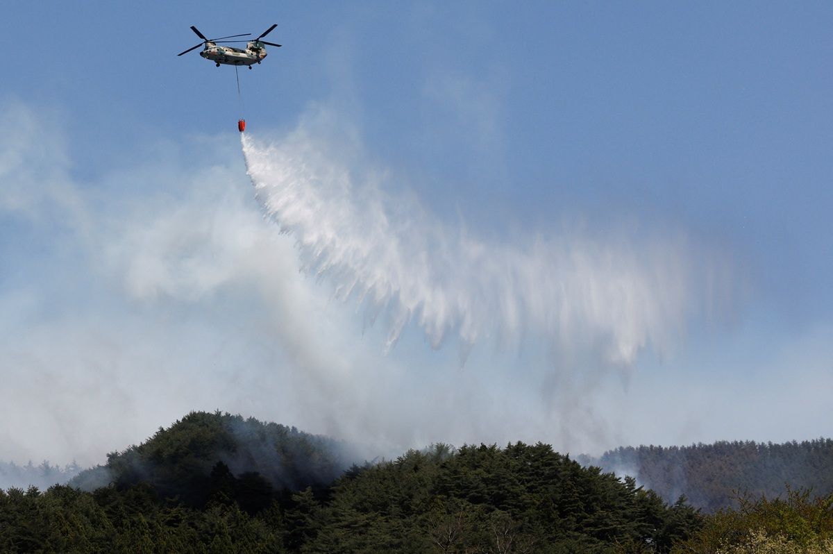 Jepang Kerahkan Ribuan Petugas Pemadam untuk Jinakkan Kebakaran Hutan di Wilayah Utara