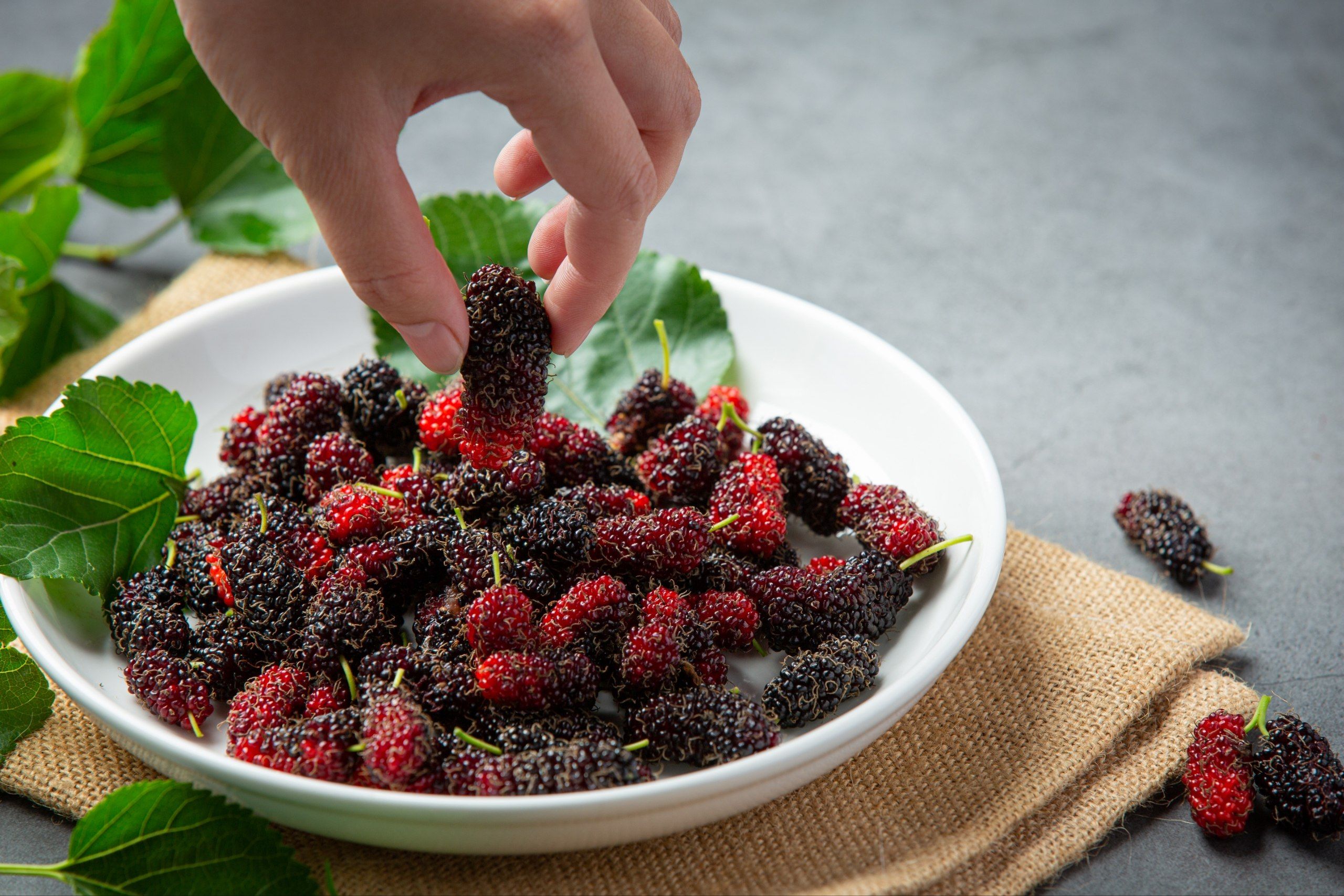 7 Manfaat Buah Murbei untuk Kesehatan, Kaya Vitamin dan Antioksidan