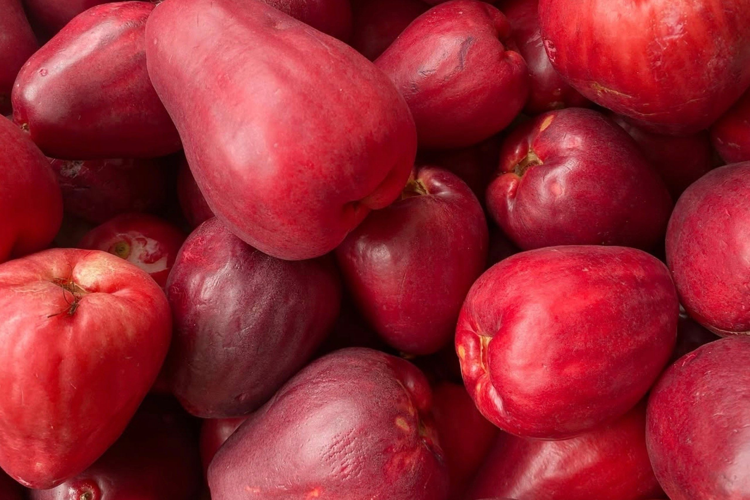 7 Manfaat Jambu Bol untuk Kesehatan Tubuh, Buah Kaya Nutrisi