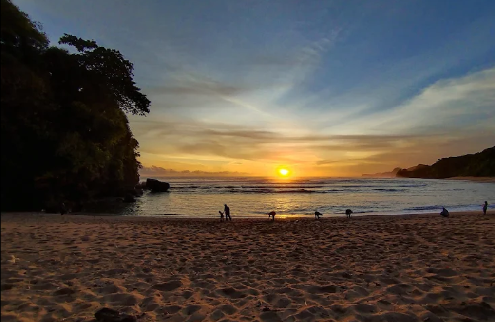 Menyusuri Sunyi di Timur Pantai Ngliyep