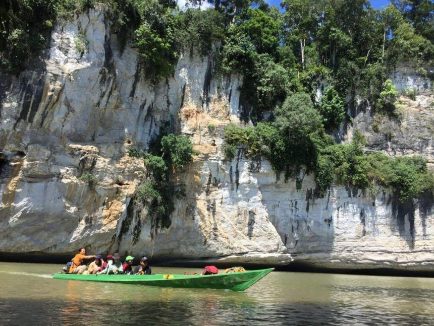 Bukan Cuma Derawan, Hutan Perawan di Berau Kini Jadi Incaran Wisatawan Mancanegara
