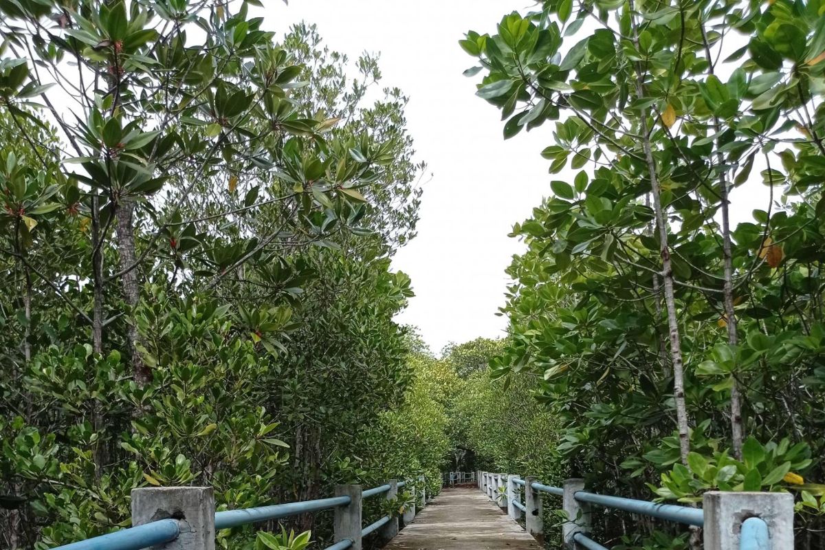 Daftar Destinasi Desa Bahoi, Desa Wisata di Minahasa Utara