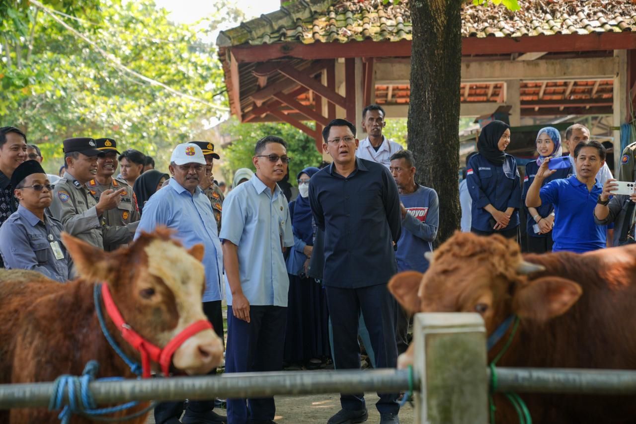 Stok Hewan Kurban Idul Asha 2026 di Sleman Dipastikan Aman Meski Harga Naik, Larang Plastik Tapi Pakai Besek
