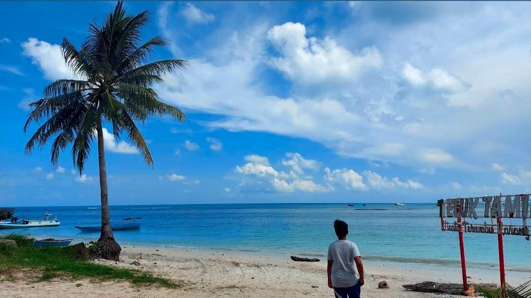 Menjelajah Surga Tersembunyi Kalimantan Selatan: Panduan Snorkeling Teluk Tamiang Terbaru
