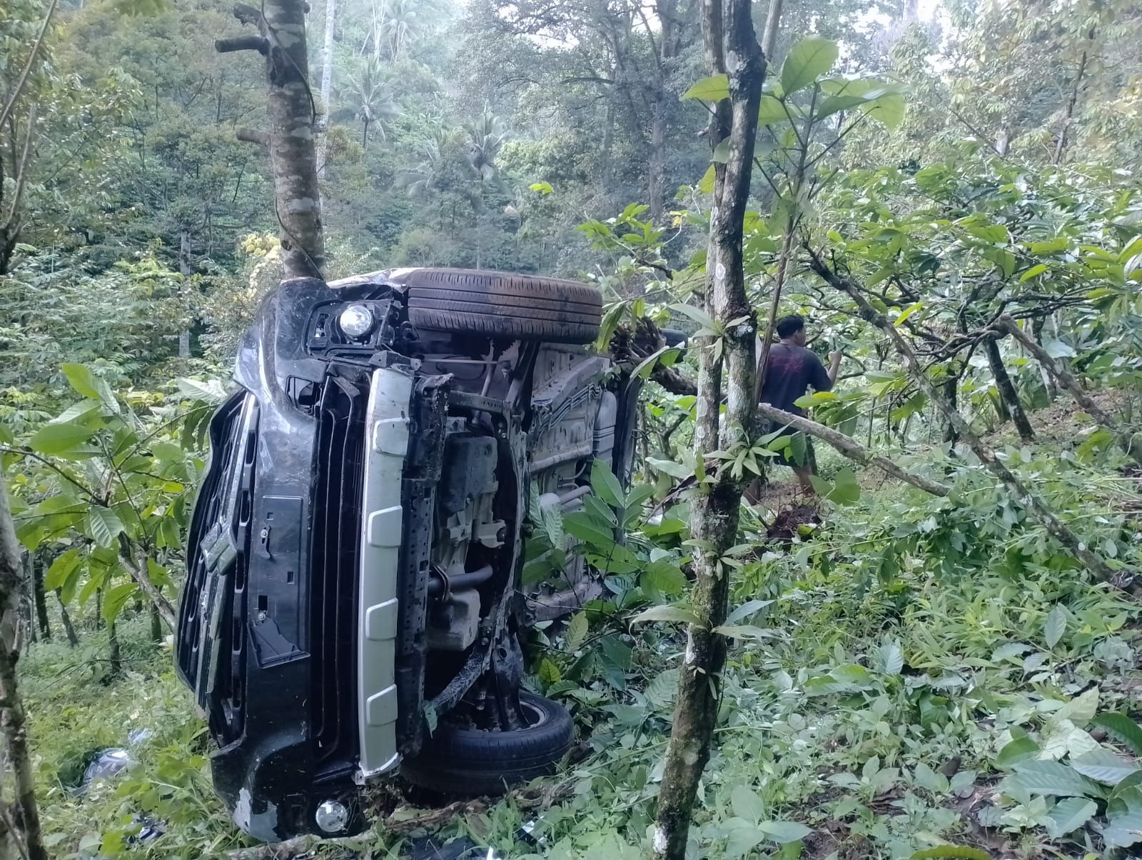 Mobil Ertiga Masuk Jurang 15 Meter di Jalur Gumitir Jember, Diduga Sopir Mengantuk