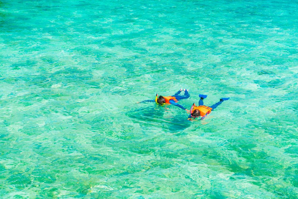 Rekomendasi Spot Snorkeling Paling Indah di Sulawesi Tenggara untuk Pemula