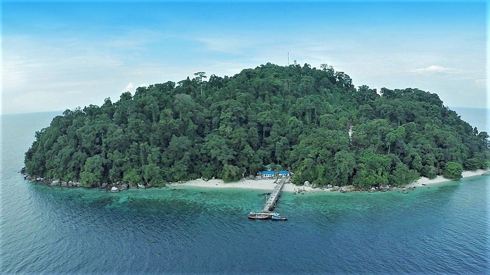 Bukan Sekadar Sungai, Ini Sisi Lain Jambi: Rekomendasi Spot Diving Hits di Pesisir Timur