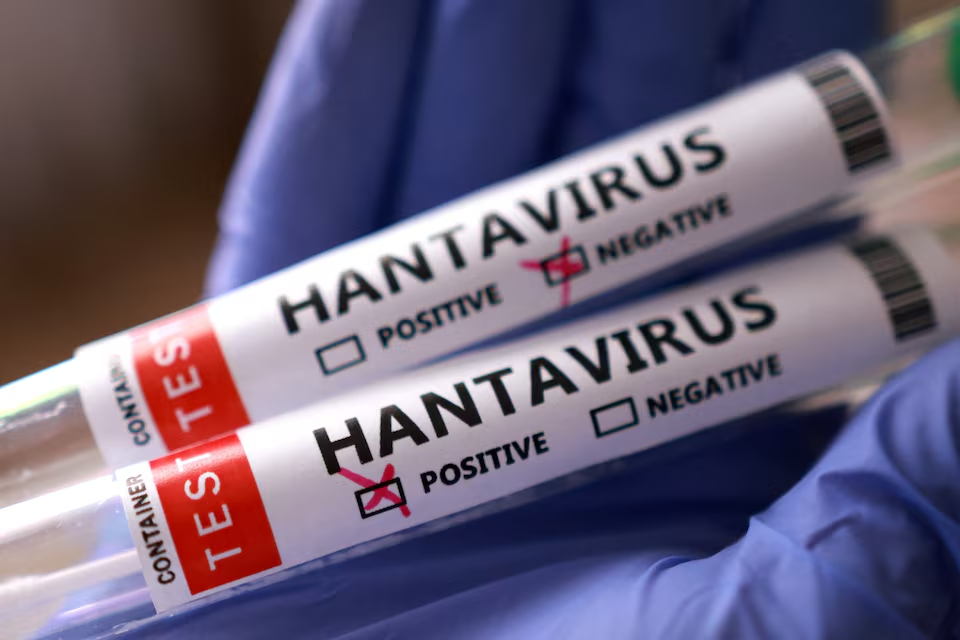 Mengenal Hantavirus yang Baru-Baru Ini Menyerang Awak Kapal Pesiar, Kenali Penyebab dan Gejalanya!