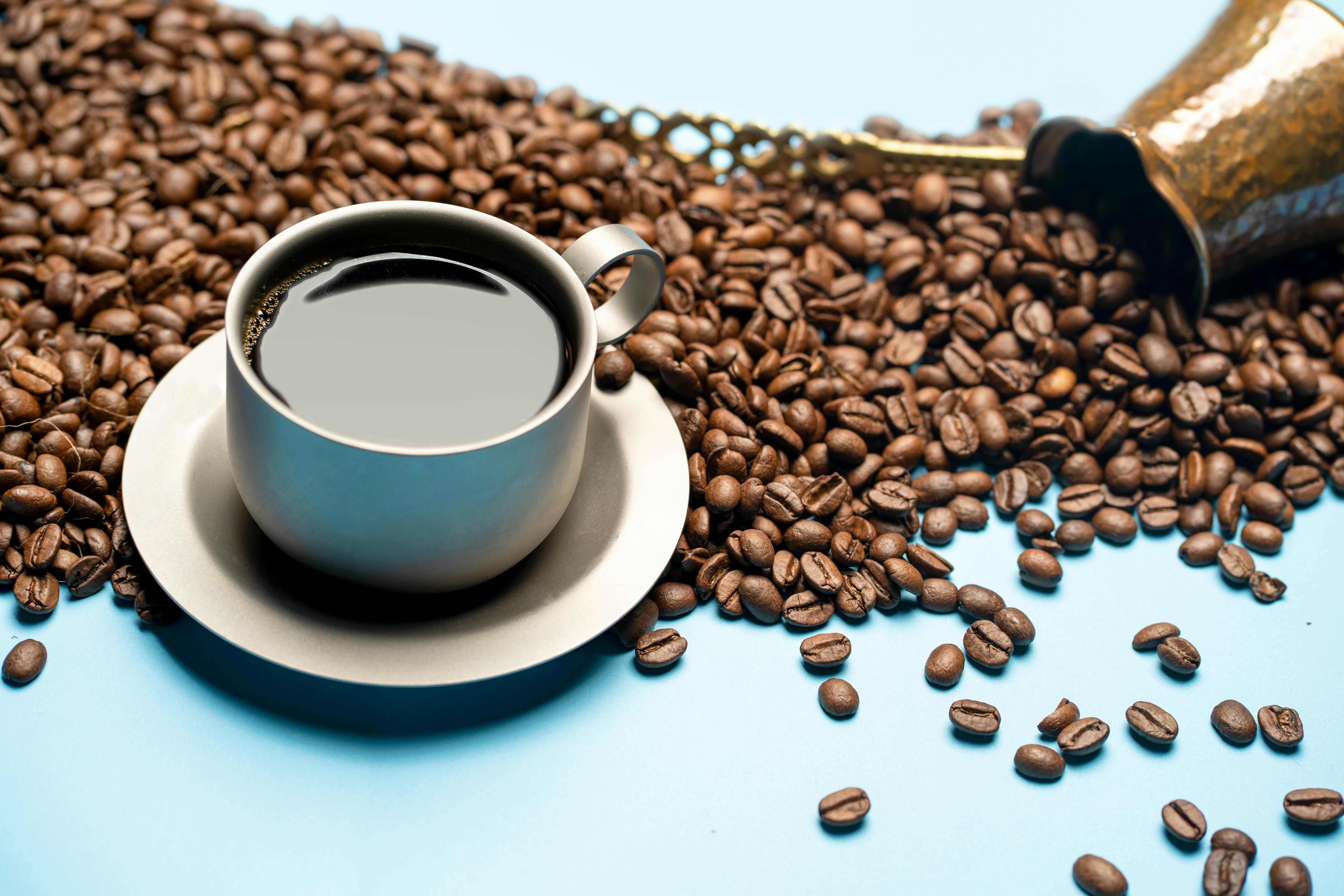 Kopi Wamena Jadi Penggerak Ekonomi Kreatif Papua Dari UMKM Hingga Pasar Kopi Dunia