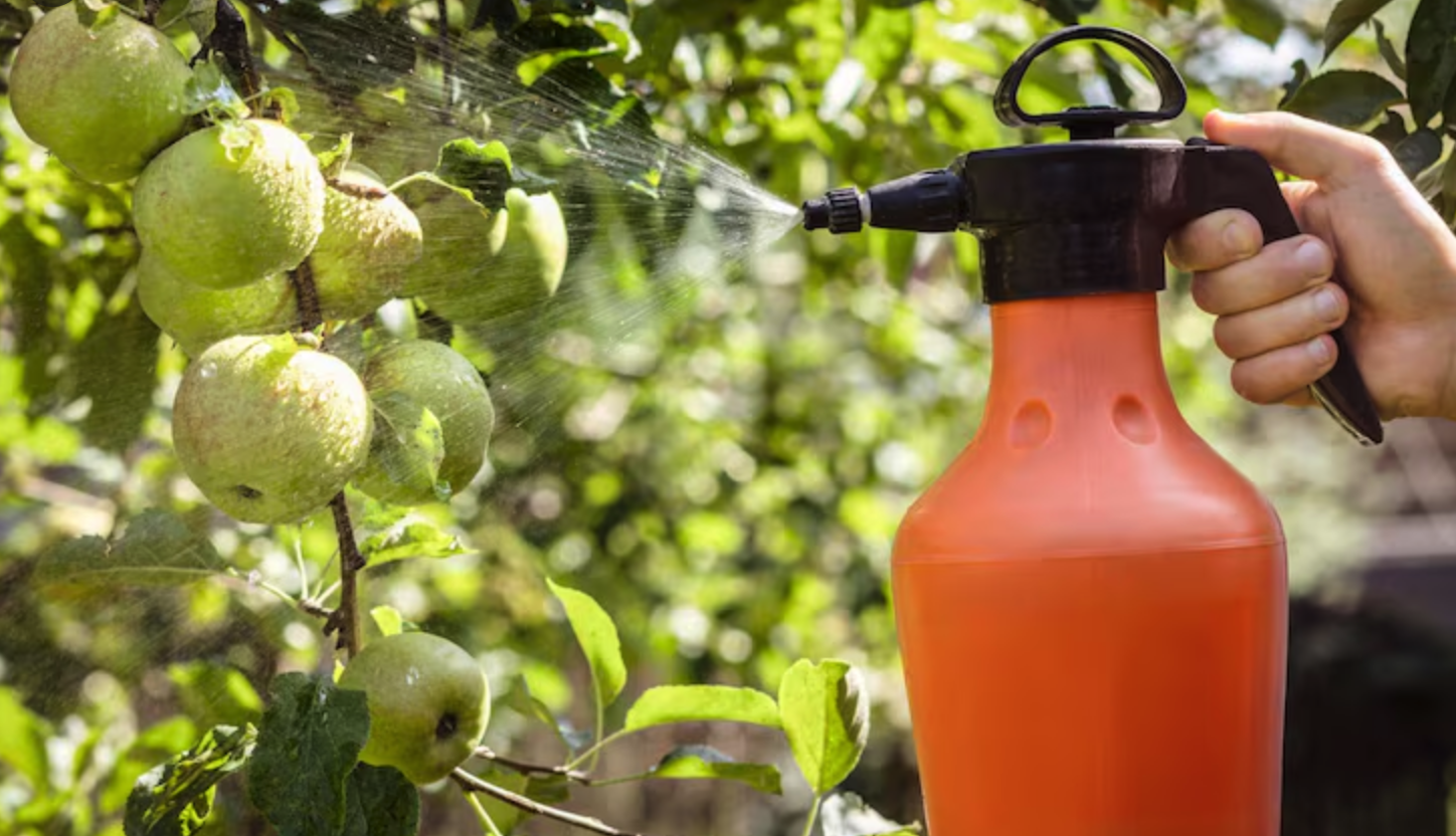 Jangan Asal Cuci! Begini Cara Bersihkan Pestisida dari Buah dan Sayur dengan Benar