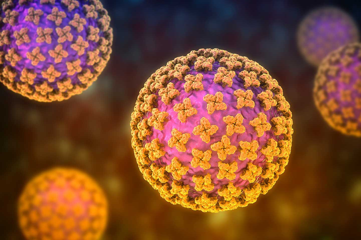 Ada 4 Kasus Hantavirus di Jakarta, Dinkes DKI: Warga Tak Perlu Panik Berlebih