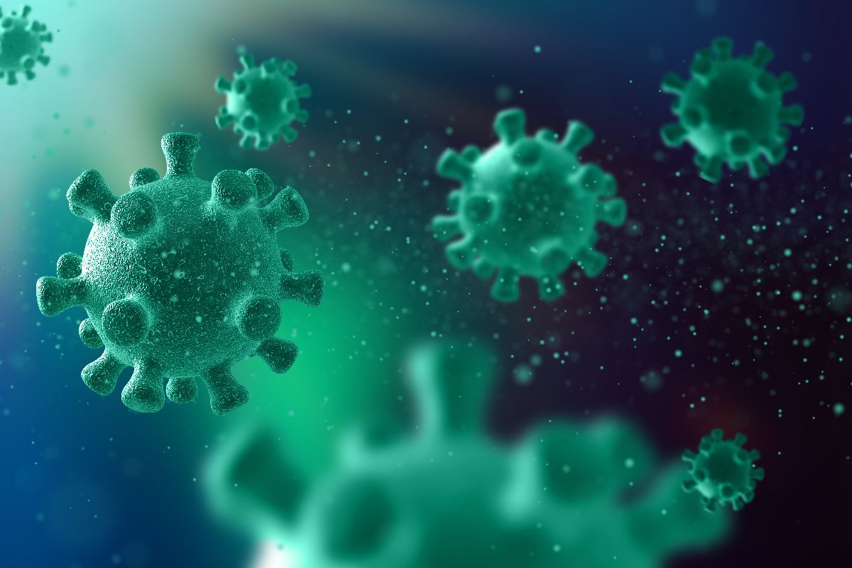 Apa Itu Hantavirus Pulmonary Syndrome? Ini Penjelasan dan Cara Pengobatannya