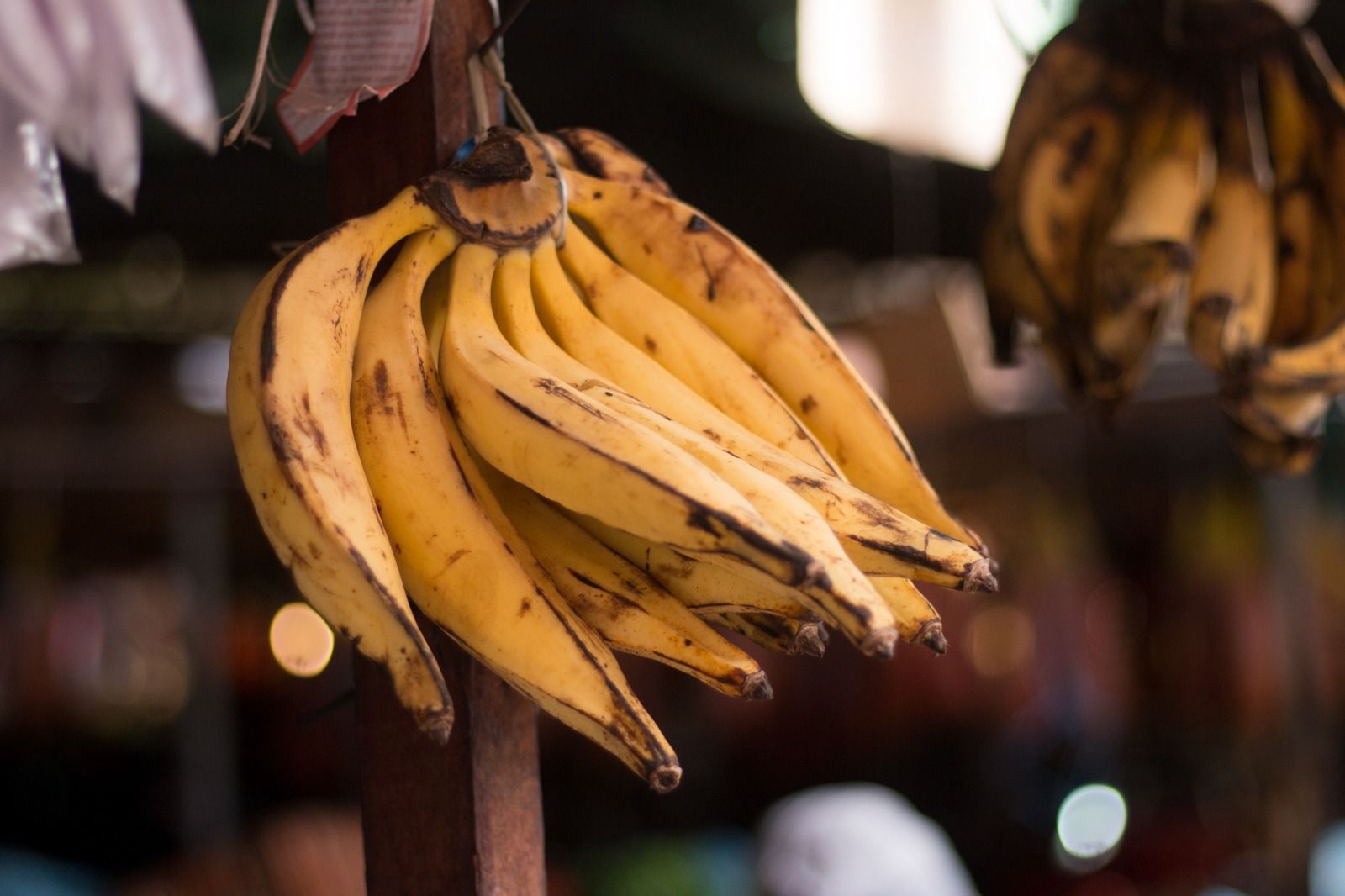 Rekomendasi Jenis Pisang yang Enak Direbus: Cocok Dimakan pas Sore Hari!