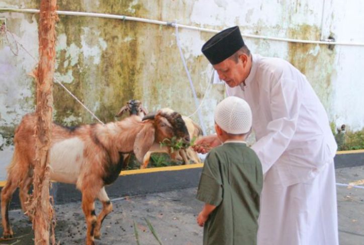 Hukum Patungan Kurban di Sekolah, Sah atau Tidak?