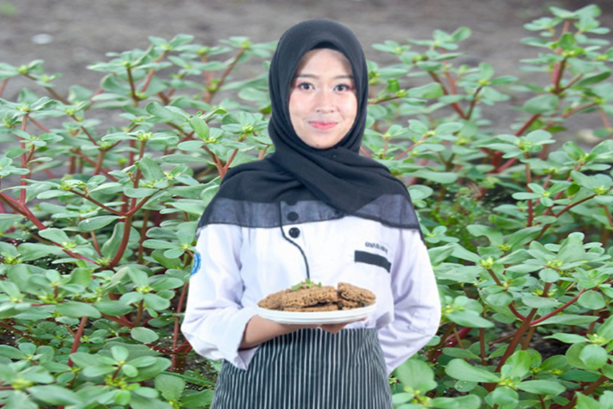 Mikrot, Inovasi Mahasiswi UNY yang Ubah Daun Krokot Jadi Mie Kremez Kaya Nutrisi