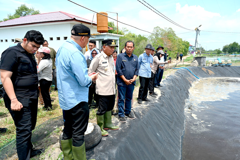 Surya Tinjau Budidaya Ikan dan Udang, Targetkan PAD Perikanan Meningkat