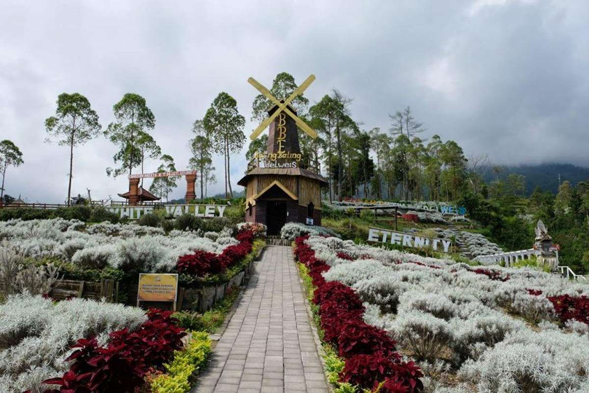 Taman Edelweis Bali di Karangasem, Wisata Alam Favorit yang Cantik Untuk Berburu Spot Foto
