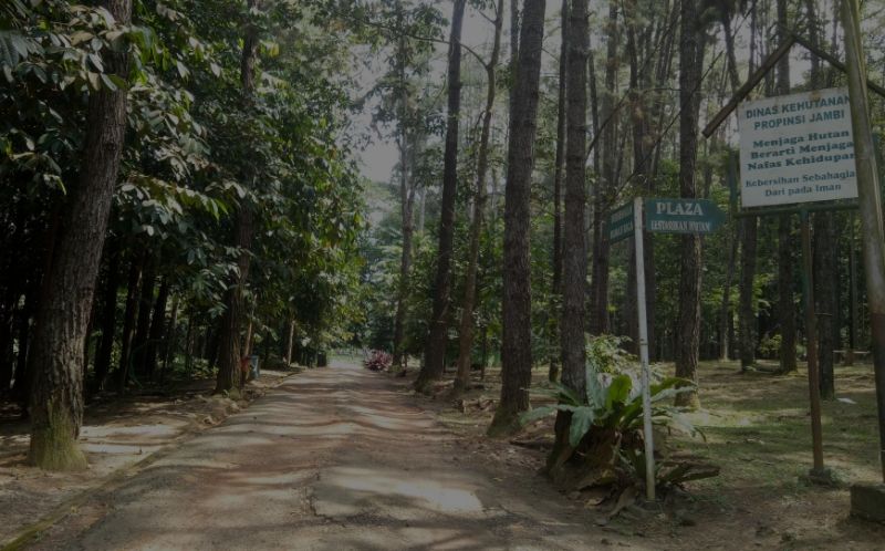 Pilihan Destinasi Wisata Edukasi Keluarga Terbaik di Kawasan Jambi