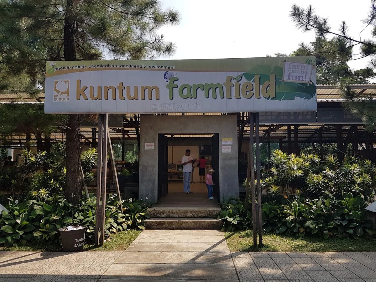 Liburan Sambil Belajar: 4 Destinasi Agrowisata Hits 2026 yang Ramah Anak dan Dompet!