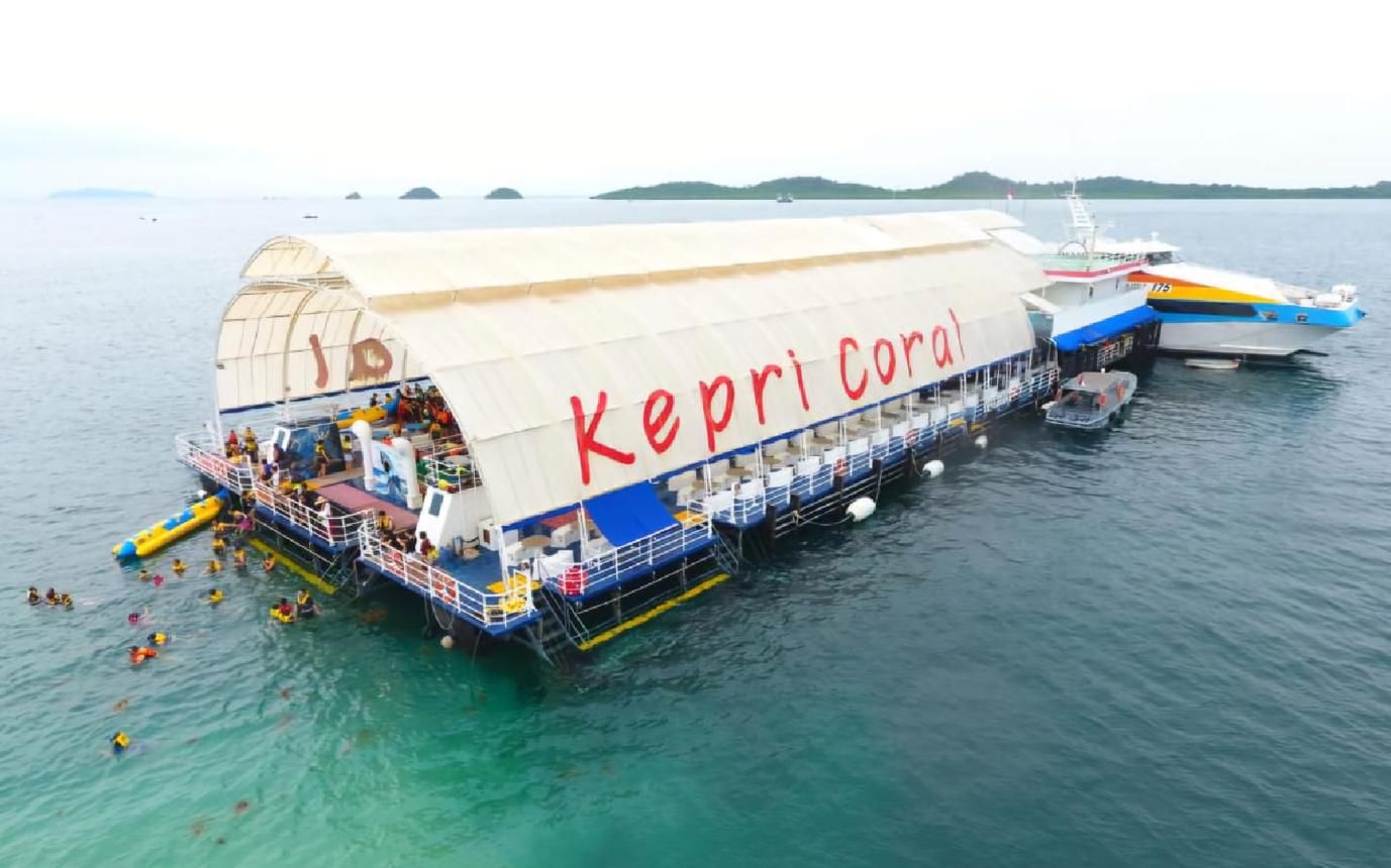 Rekomendasi Spot Snorkeling Paling Indah di Kepulauan Riau Untuk Pemula
