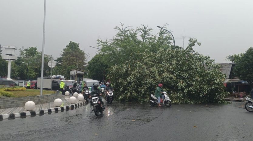 Badai Hantam Kota Jogja, BPBD Ungkap 18 Wilayah Terdampak : Lima Tower Runtuh, Jalan Umum Tertutup