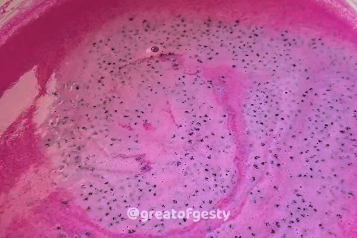 Resep Dragon Fruit Vanilla Pudding, Dessert Cantik yang Lembut dan Segar