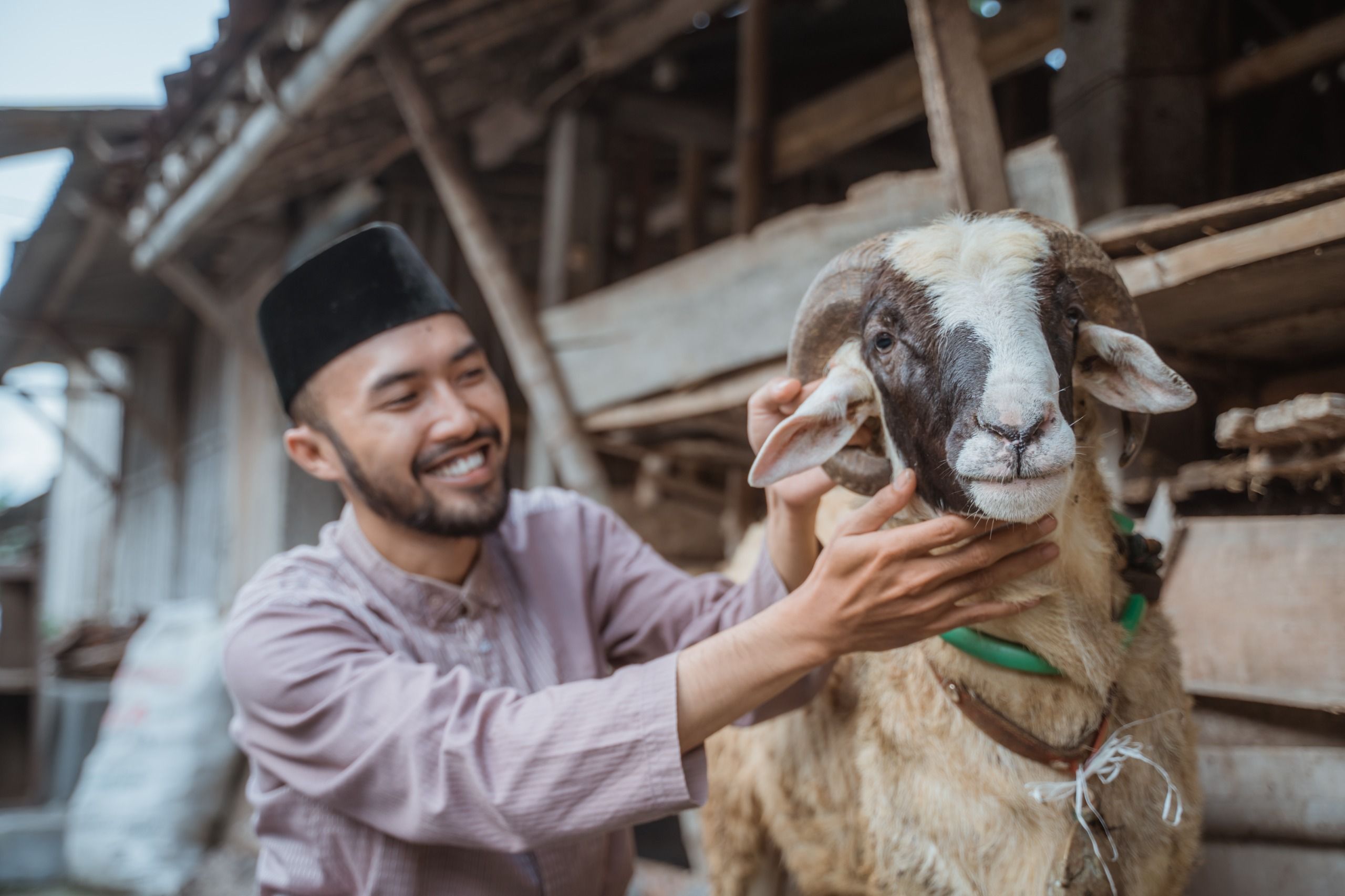Awal Mula Hari Raya Kurban: Bermula dari Kisah Nabi Ibrahim dan Nabi Ismail, Apa Hubungannya dengan Haji?