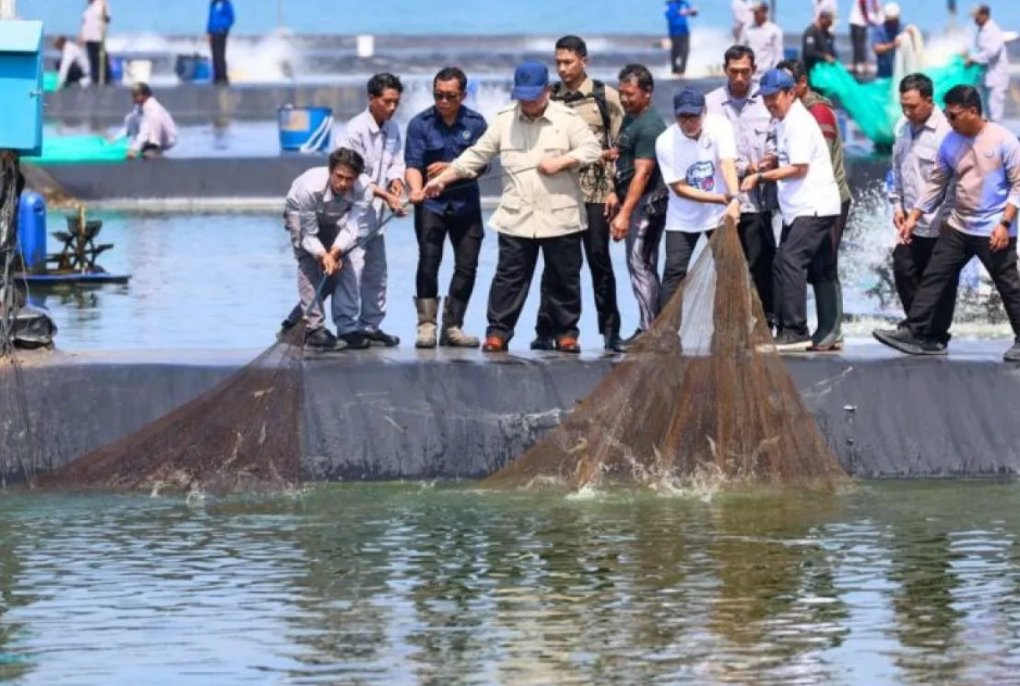 Gubernur Jateng: Budidaya Udang Kebumen Prospek Bagus untuk Ekonomi