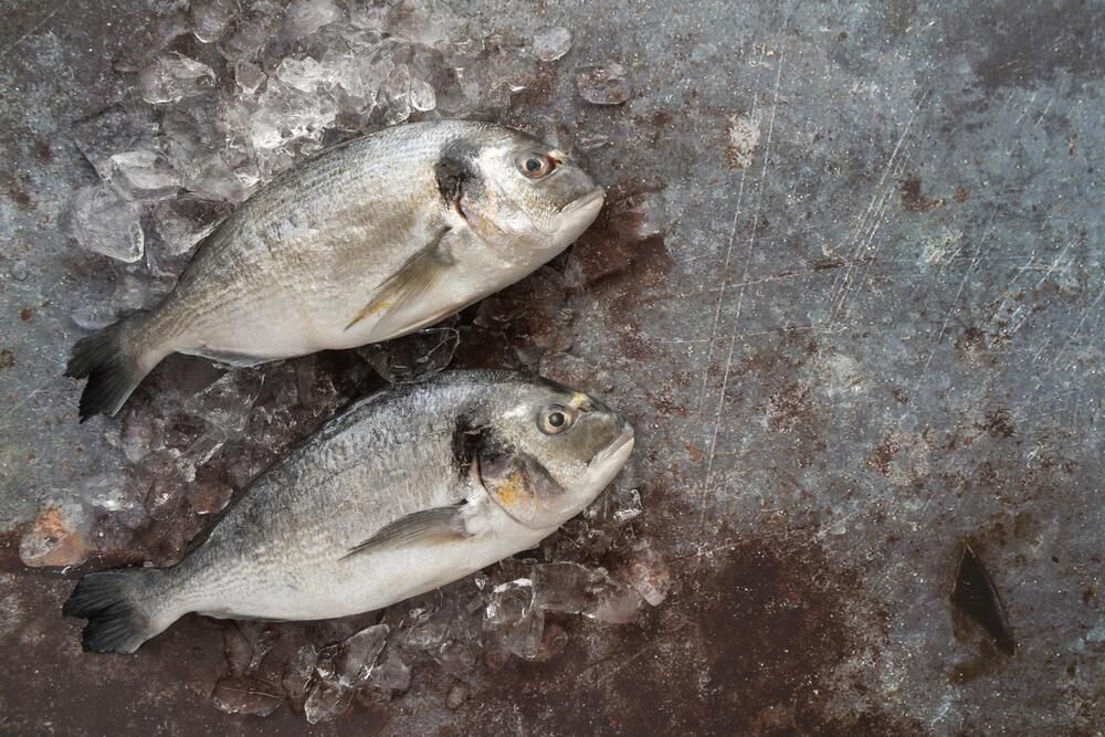 Ikan Parende dan Kasuami, Kuliner Hidden Gem Paling Banyak Dicari di Baubau