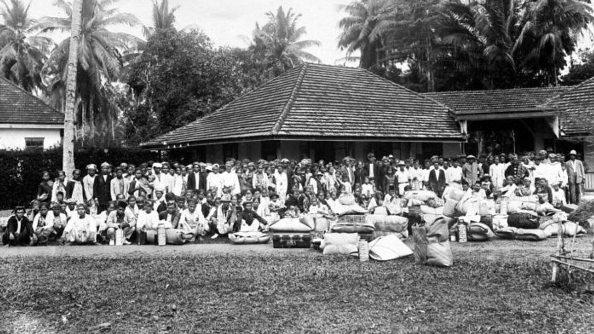 Fakta Menarik dan Sejarah Panjang Berdirinya Desa Bagelen di Lampung, Desa Transmigrasi Pertama di Indonesia