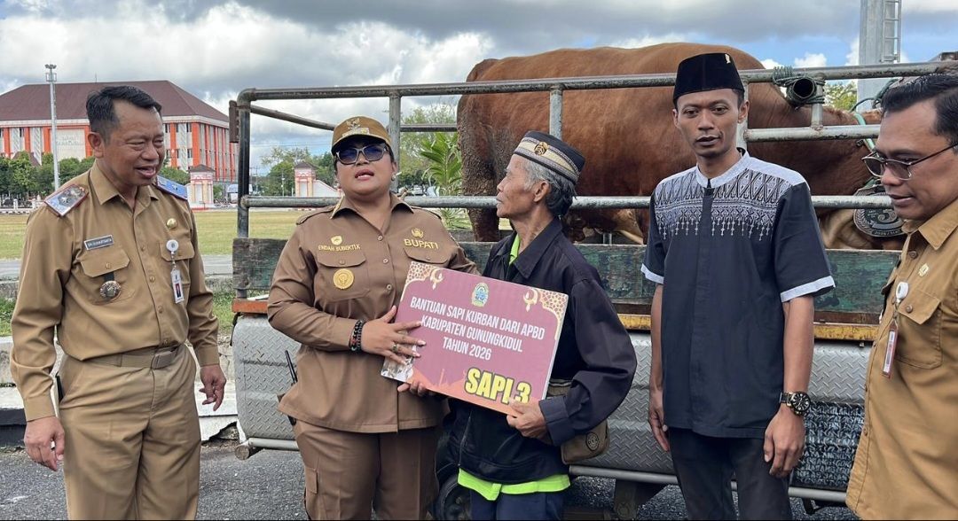 Idul Adha 2026: Pemkab Gunungkidul Sebar 7 Sapi dan 44 Kambing ke Wilayah Minim Kurban, Bupati Endah : Stok Melimpah