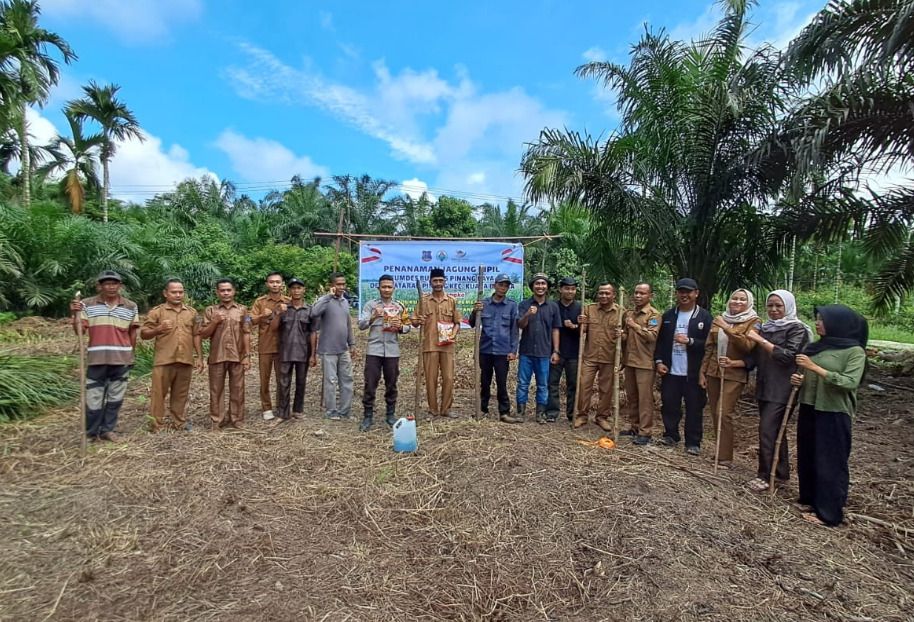 Dukung Ketahanan Pangan, Bhabinkamtibmas Desa Dataran Pinang Turun Ke Sawah Tanam Jagung Bersama Warga