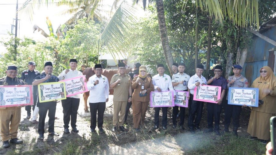 Sapi Qurban Presiden untuk Tarakan Disalurkan, Ibnu Saud Ajak Perkuat Kepedulian