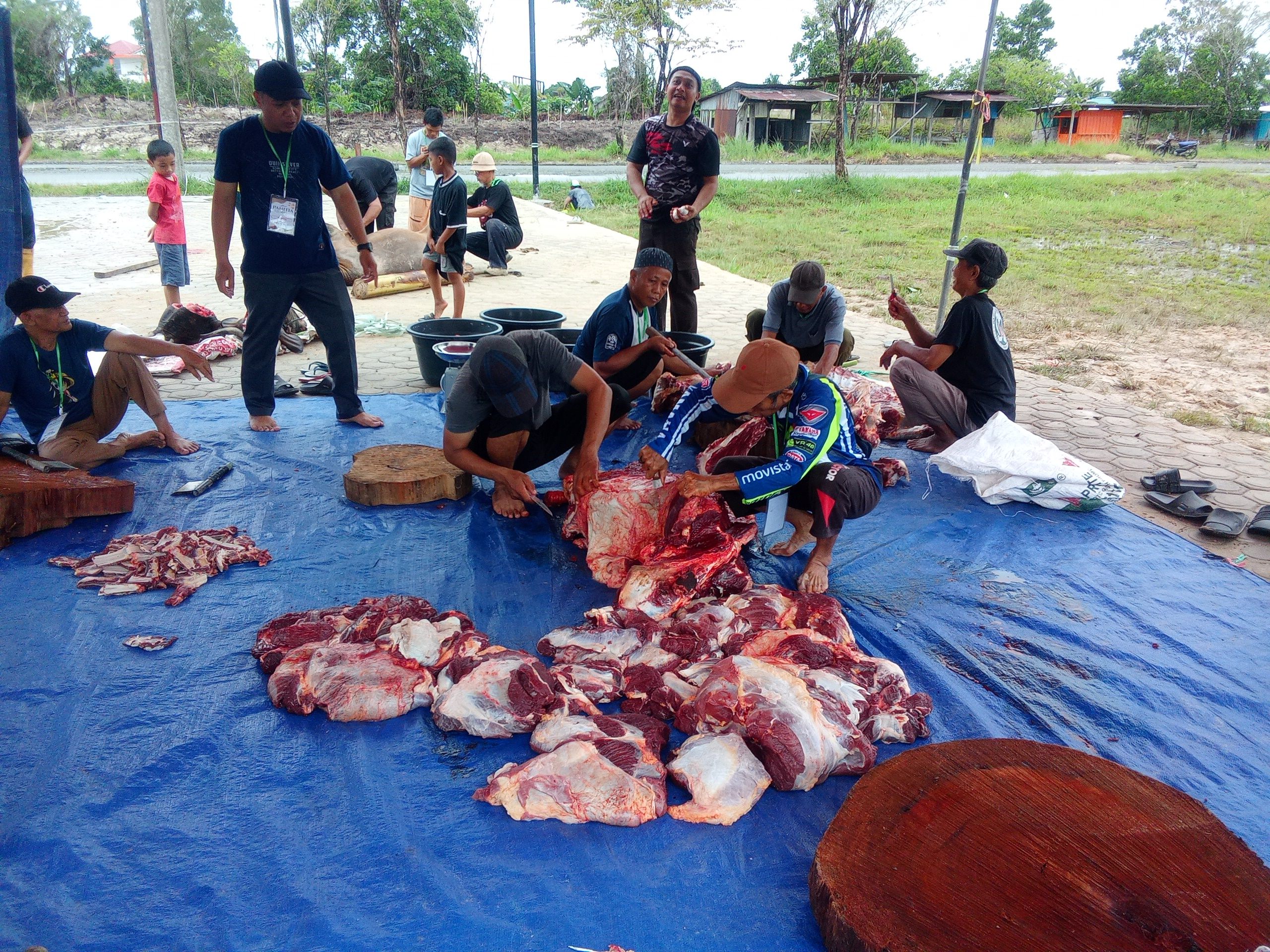 Masjid Baitul Amin PNS Tarakan Utara Tebar Kepedulian Lewat Kurban Iduladha 1447 H