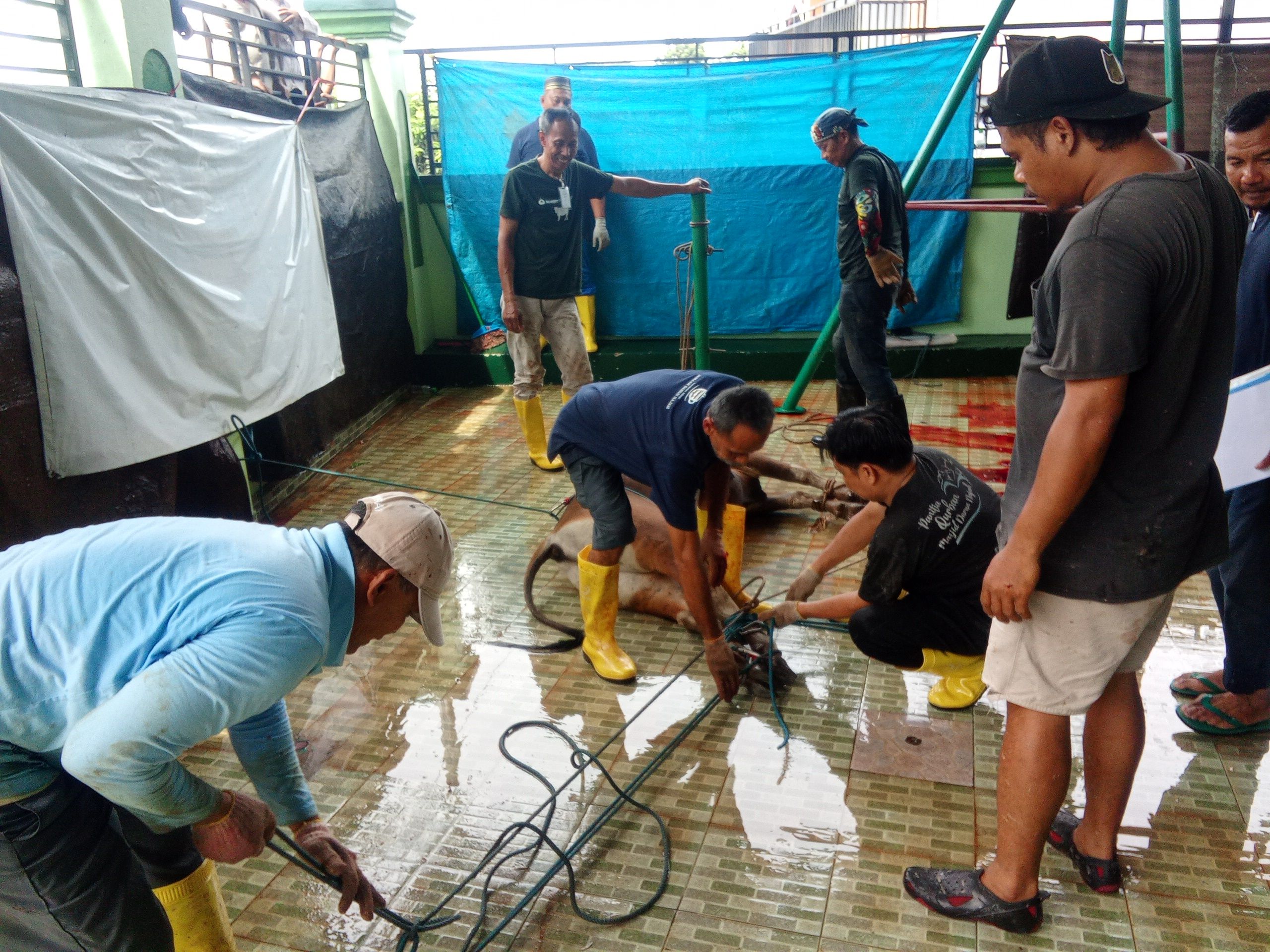 Semangat Berbagi Iduladha, Masjid Darun Najah Potong 13 Hewan Kurban