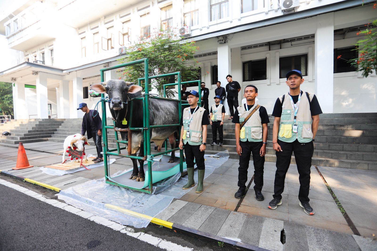 DKPP Bandung Pastikan Daging Kurban Aman, Temuan Hanya Bersifat Minor