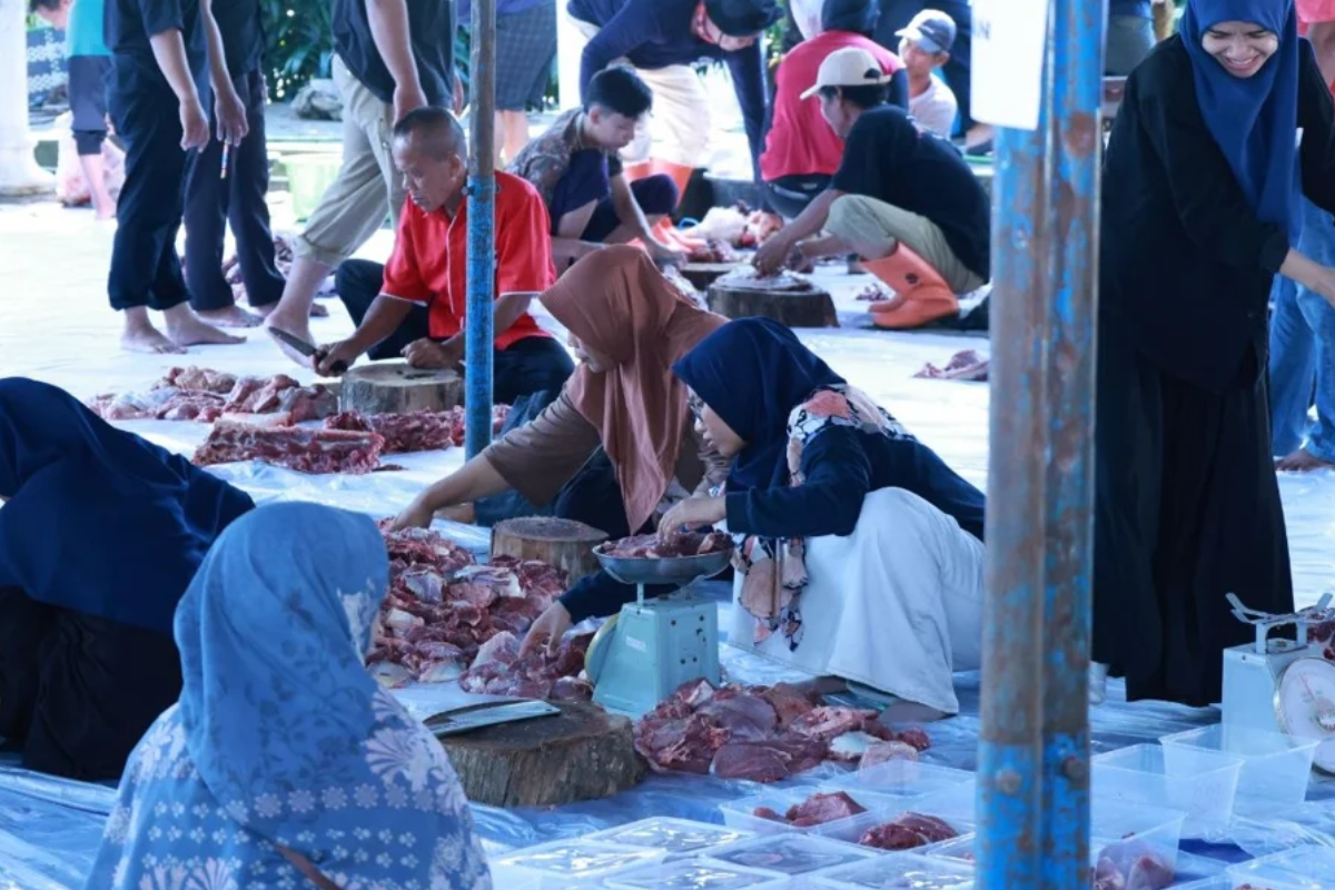 Kurban Sampai Pelosok! UNS Distribusikan 166 Kambing dan 13 Sapi ke Berbagai Daerah