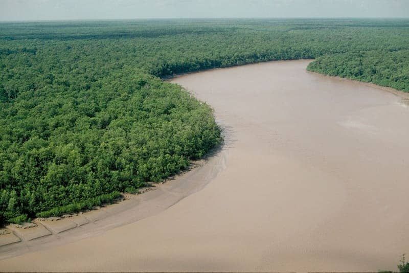 Mamberamo, Sungai Raksasa yang Dijuluki Amazon-nya Papua