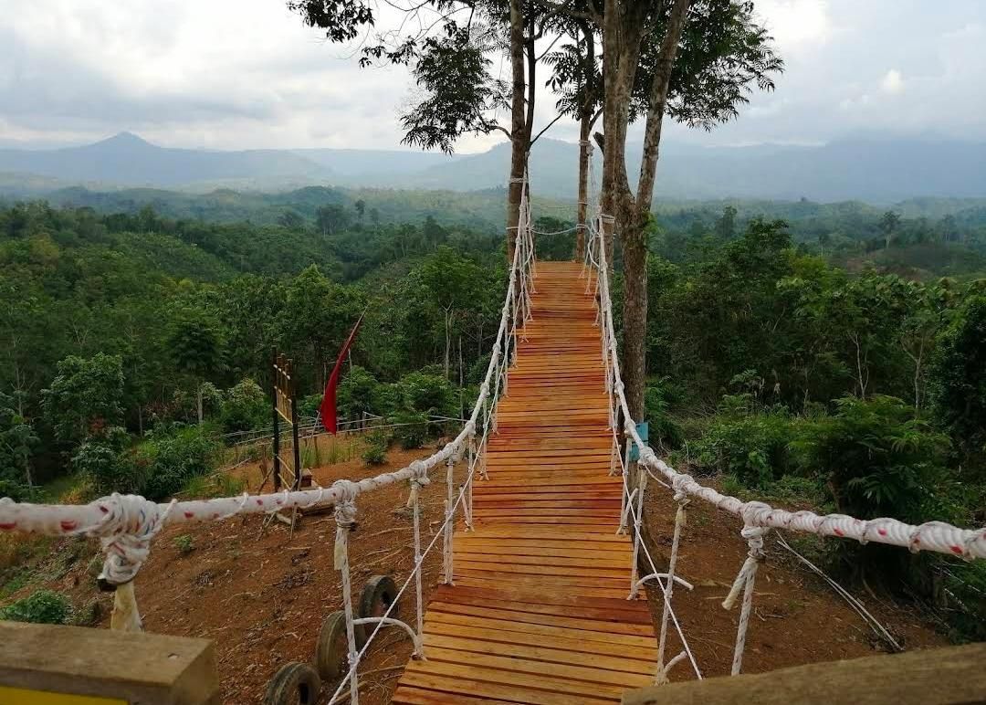 5 Landmark Wisata Ikonik di Hulu Sungai Tengah yang Wajib Masuk Bucket List Anda