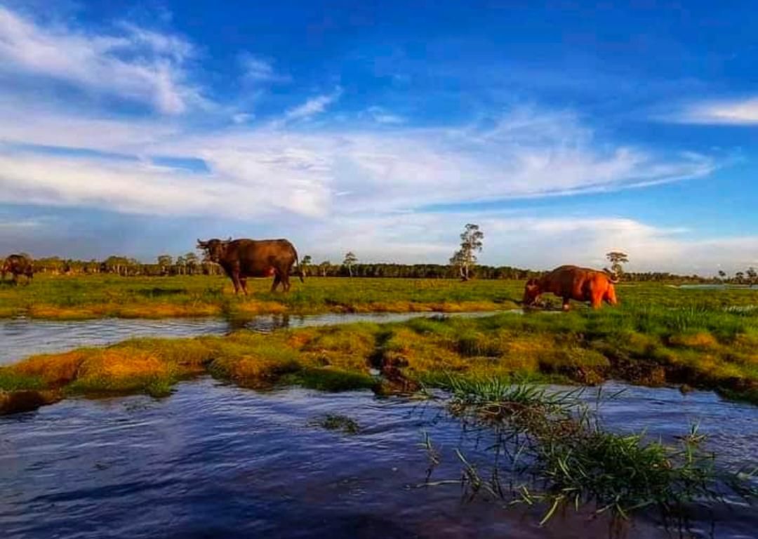 5 Landmark Wisata Ikonik di Hulu Sungai Utara yang Wajib Masuk Bucket List Anda