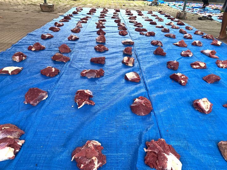Panduan Lengkap Formula Pembagian Daging Kurban Sesuai Syariat Islam